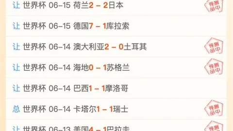 粉丝力挺：响彻云霄的忠实拥趸力量